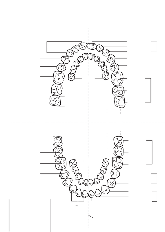 Teeth Charting Practice