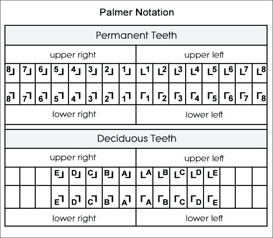 Dental Charting Symbols