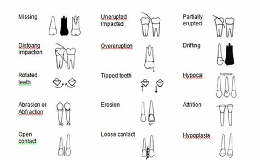 dental charting exercises - Part.tscoreks.org
