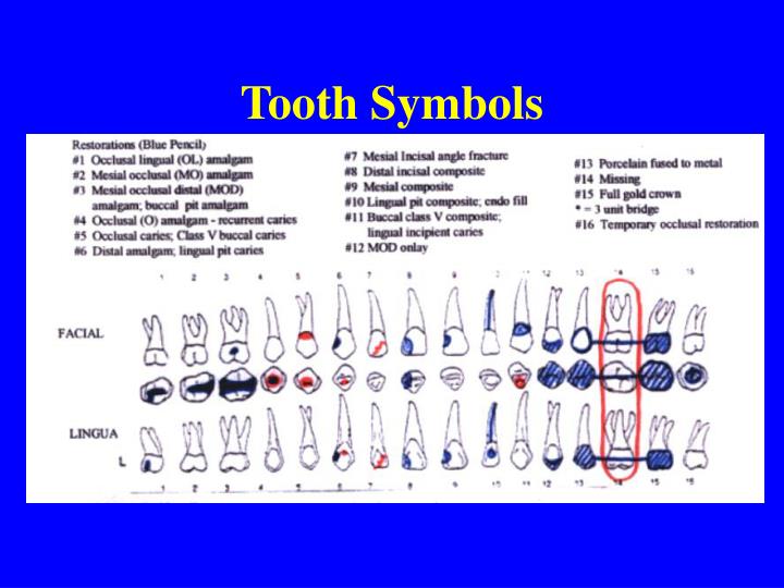 Dental Charting Symbols And Meanings